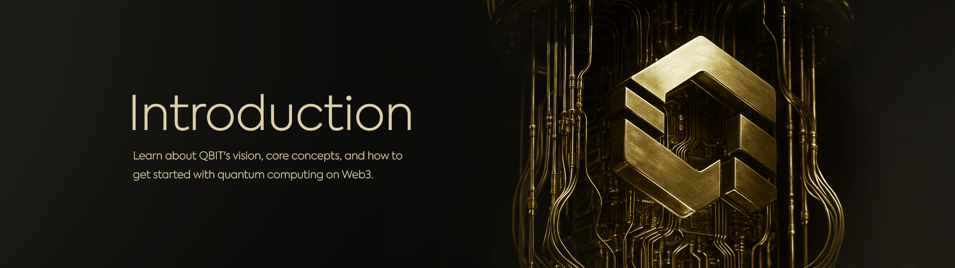 Introduction Banner