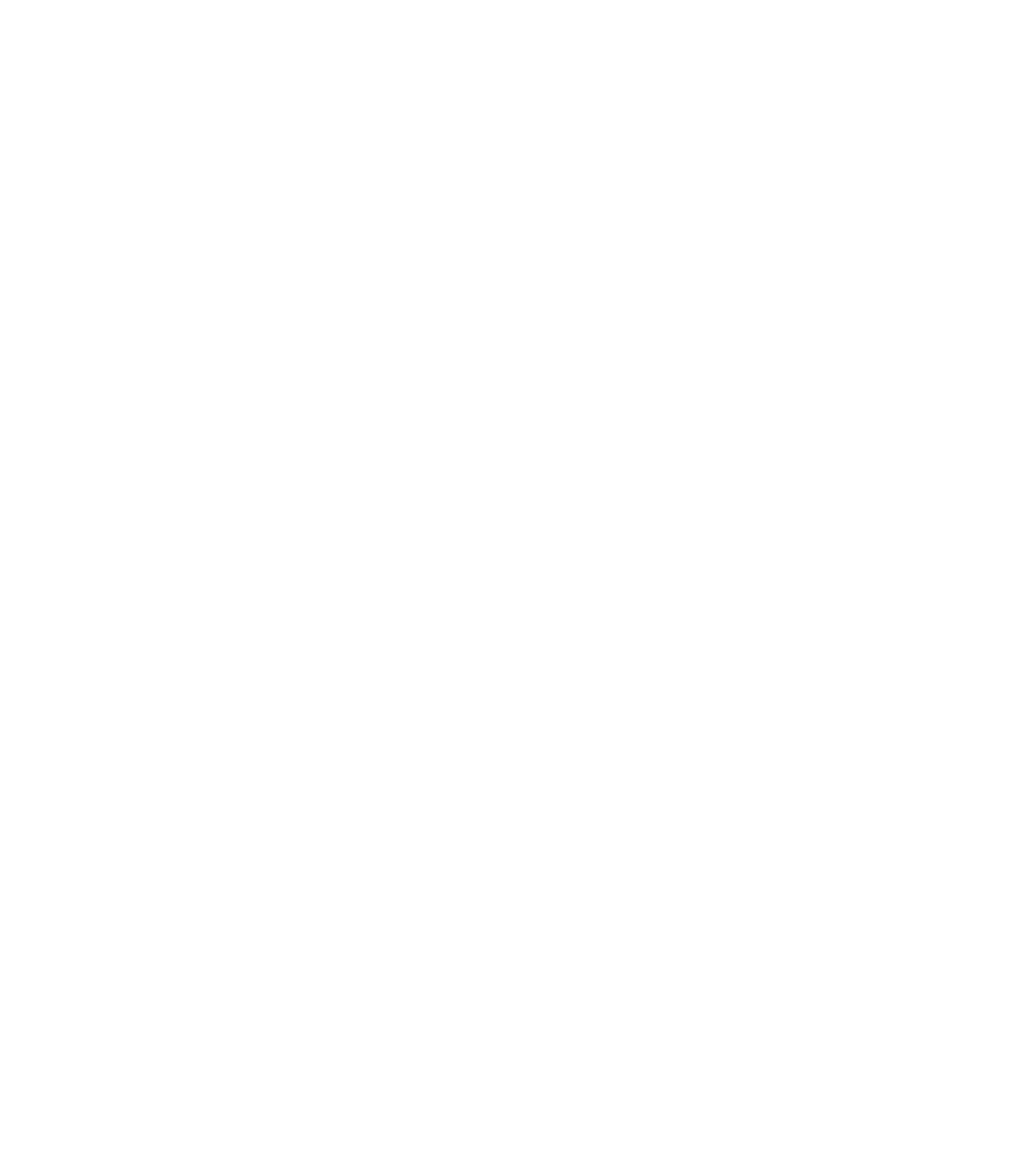SolidProof Shield